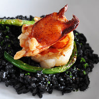 Maine Lobster – Claw & Knuckle Meat