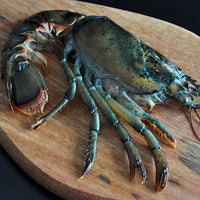 Split Half Lobsters