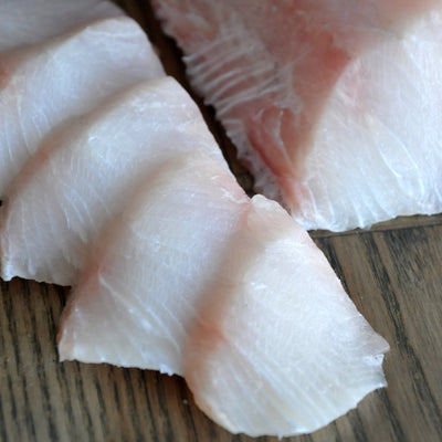 Cobia