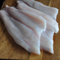 Fluke