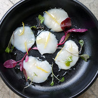 Dayboat Scallops