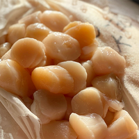 Dayboat Scallops