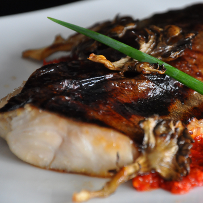 Black Cod