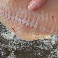 Cod