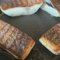 Pacifico Striped Bass