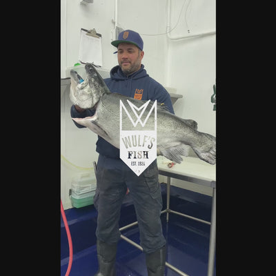 Ora King Salmon