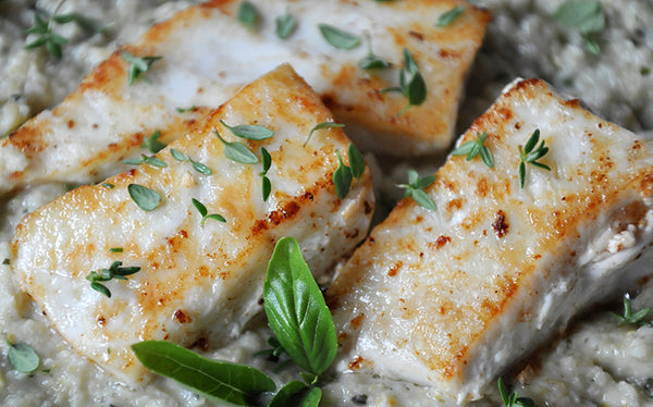 Fish Recipe For Halibut Fillet In Oven Cream Sauce Halibut Recipe