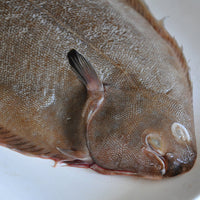 Dover Sole