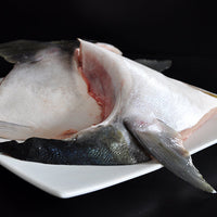 Fish Collars
