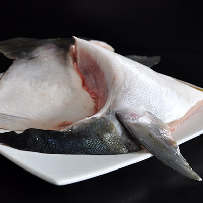Fish Collars