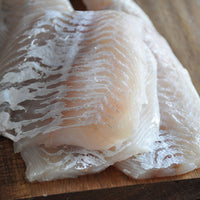 Haddock