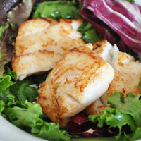 Haddock
