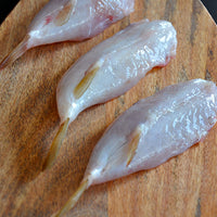 American Blowfish Tails