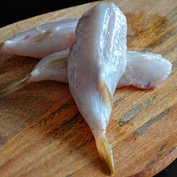 American Blowfish Tails