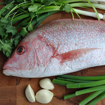 Whole Red Snapper