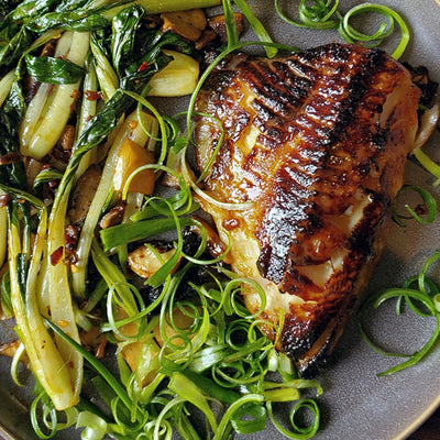 Black Cod