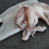 Squid