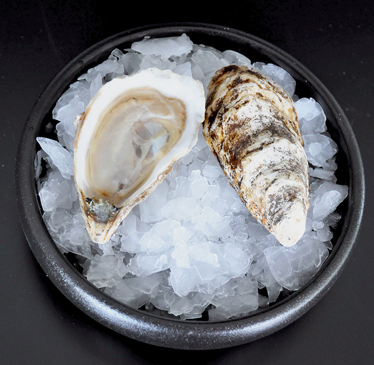 January 2025 Oyster Club: Cold Water Canadian Showdown!