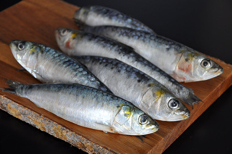 How to Scale & Gut a Sardine