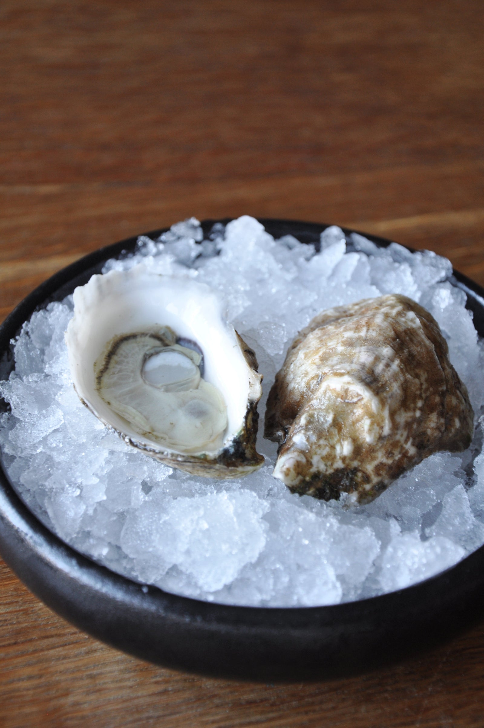 June Father's Day Grill-able + Slurp-able Oysters
