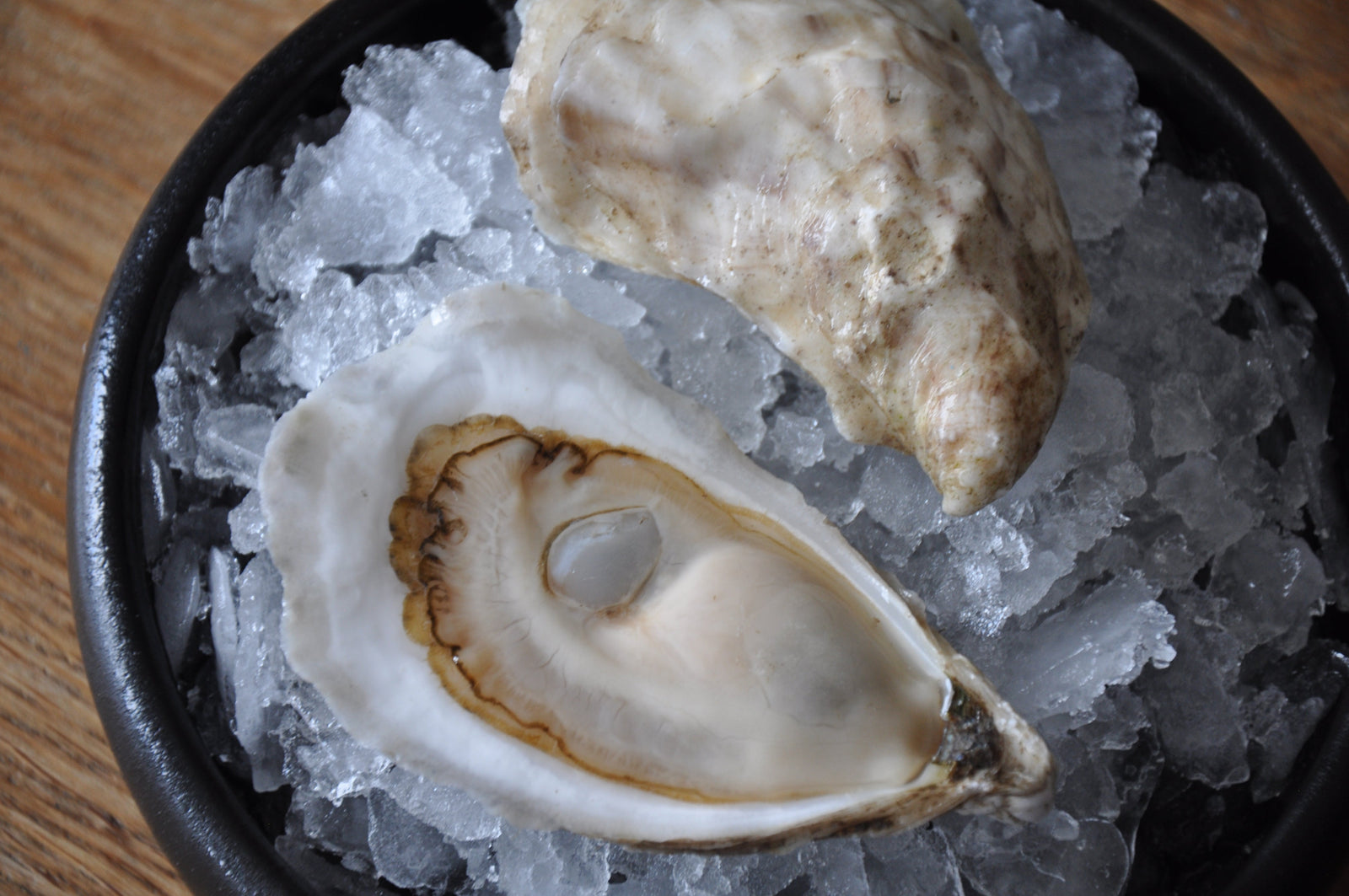 Wulf's Oyster Club November: East Coast versus West Coast – Cranberry Island & Chef's Creek!