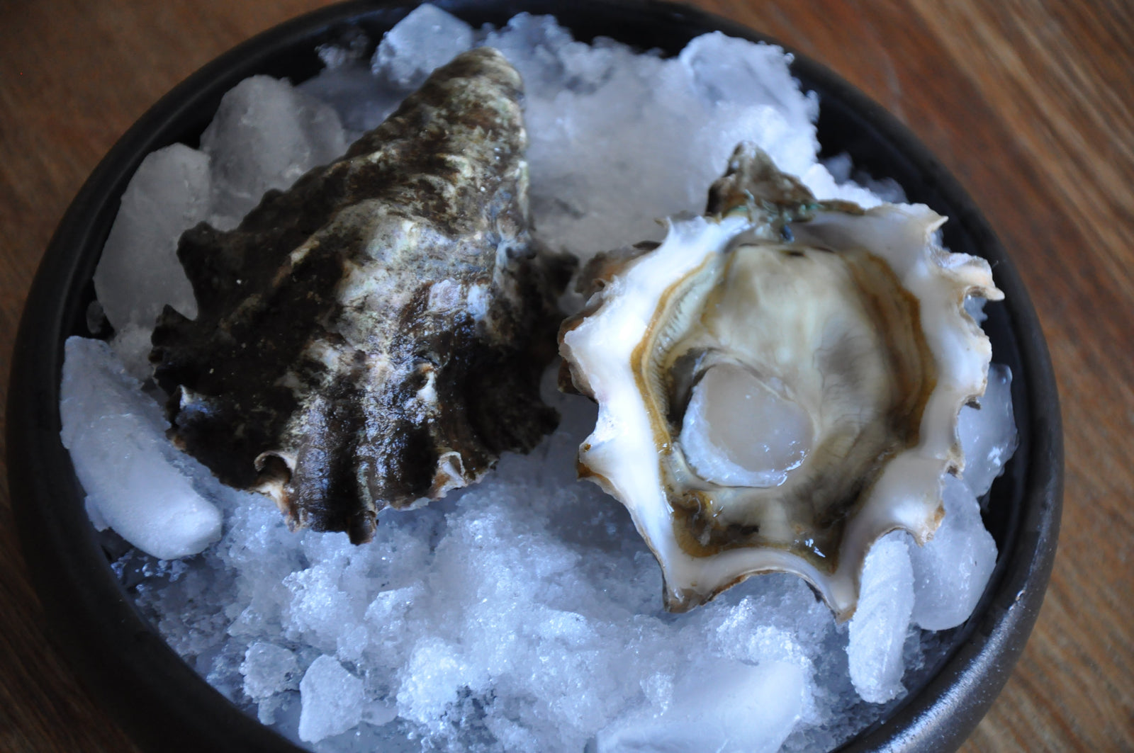 March 2025 Oyster Club: A Preview of Spring with East v. West Coast Oysters