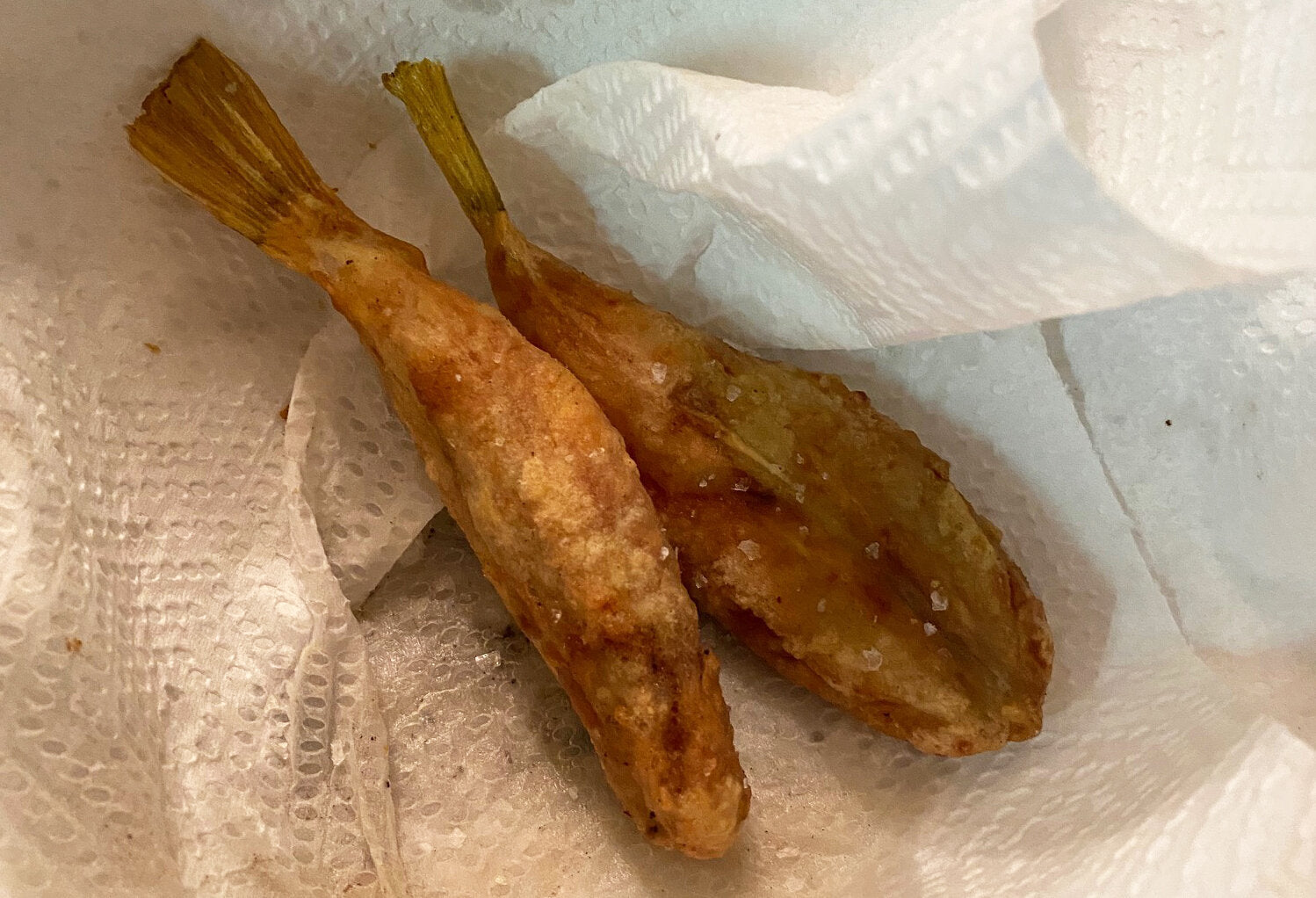 Hooked: Newlyweds in the Kitchen, No. 3 Kentucky Fried Blowfish aka The Time We Burned Our House Down