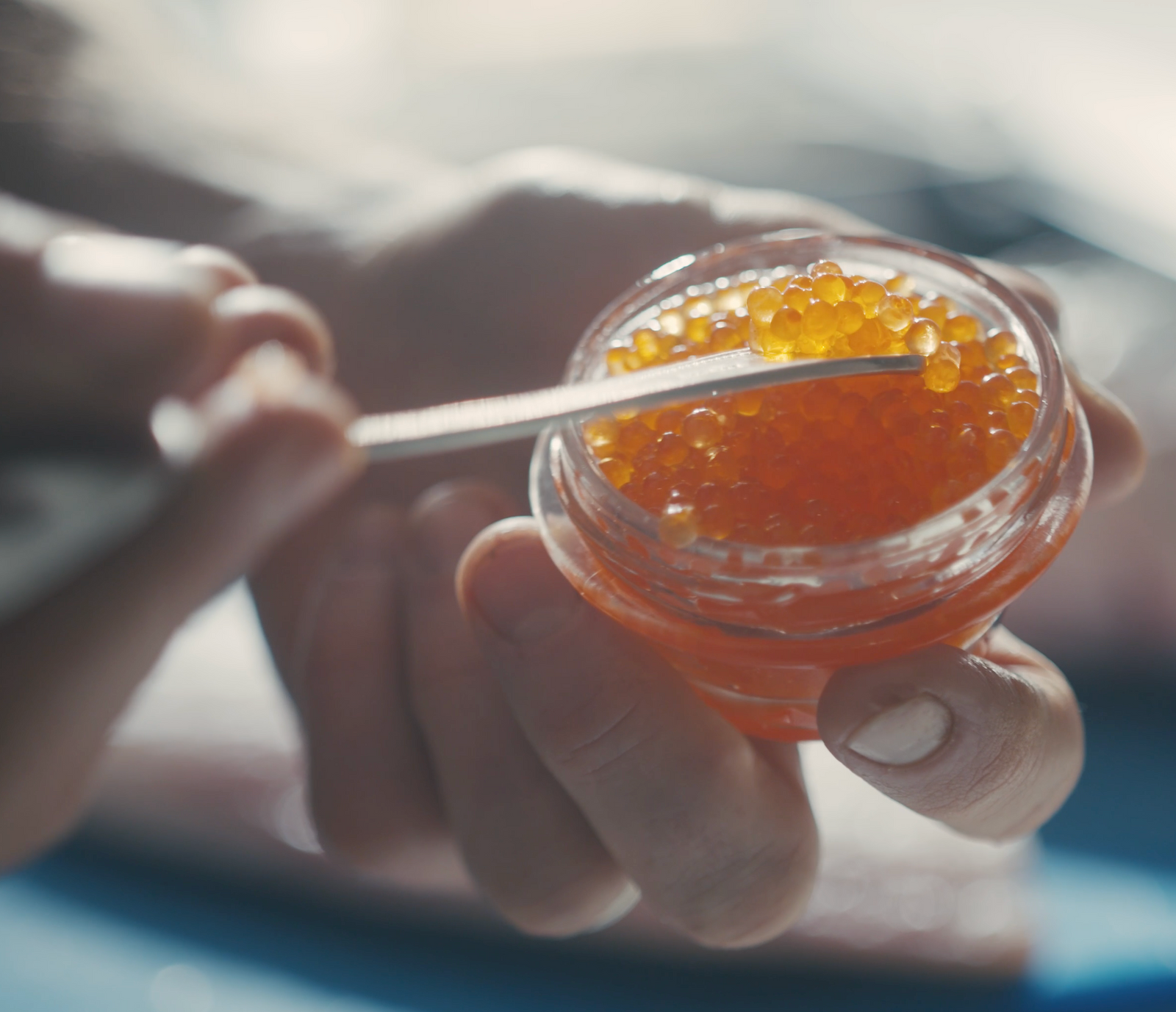 Chef's Choice: Carl Dooley of Mooncusser