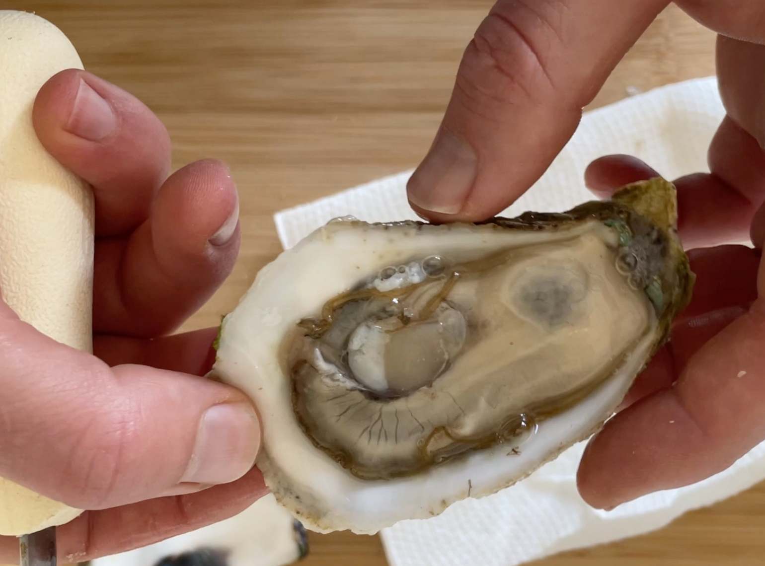 Ask-A-Fishmonger: How to Shuck a Wellfleet Oyster with Nate Alba