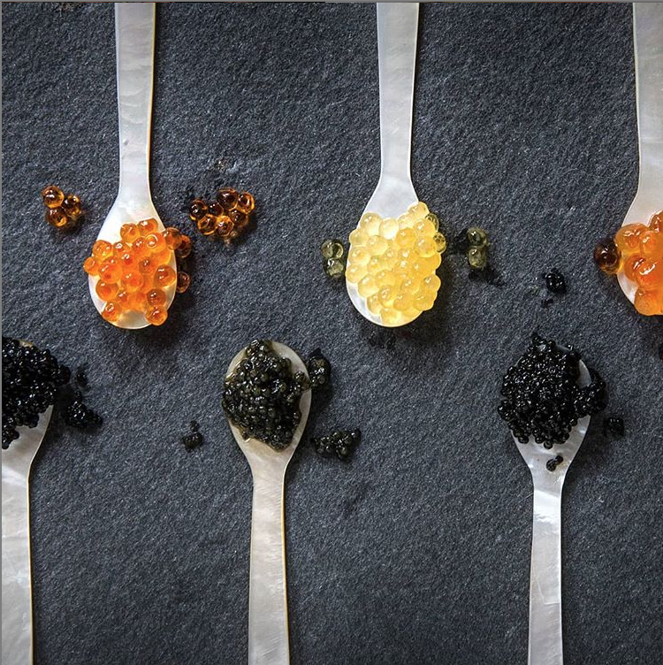 Caviar 101