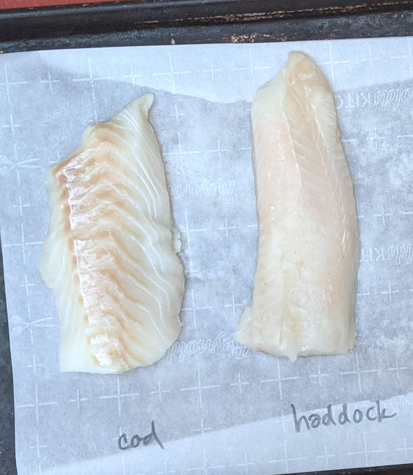 Haddock v Cod — A 10-Year-Old Fish Expert Helps Describe the Differenc ...