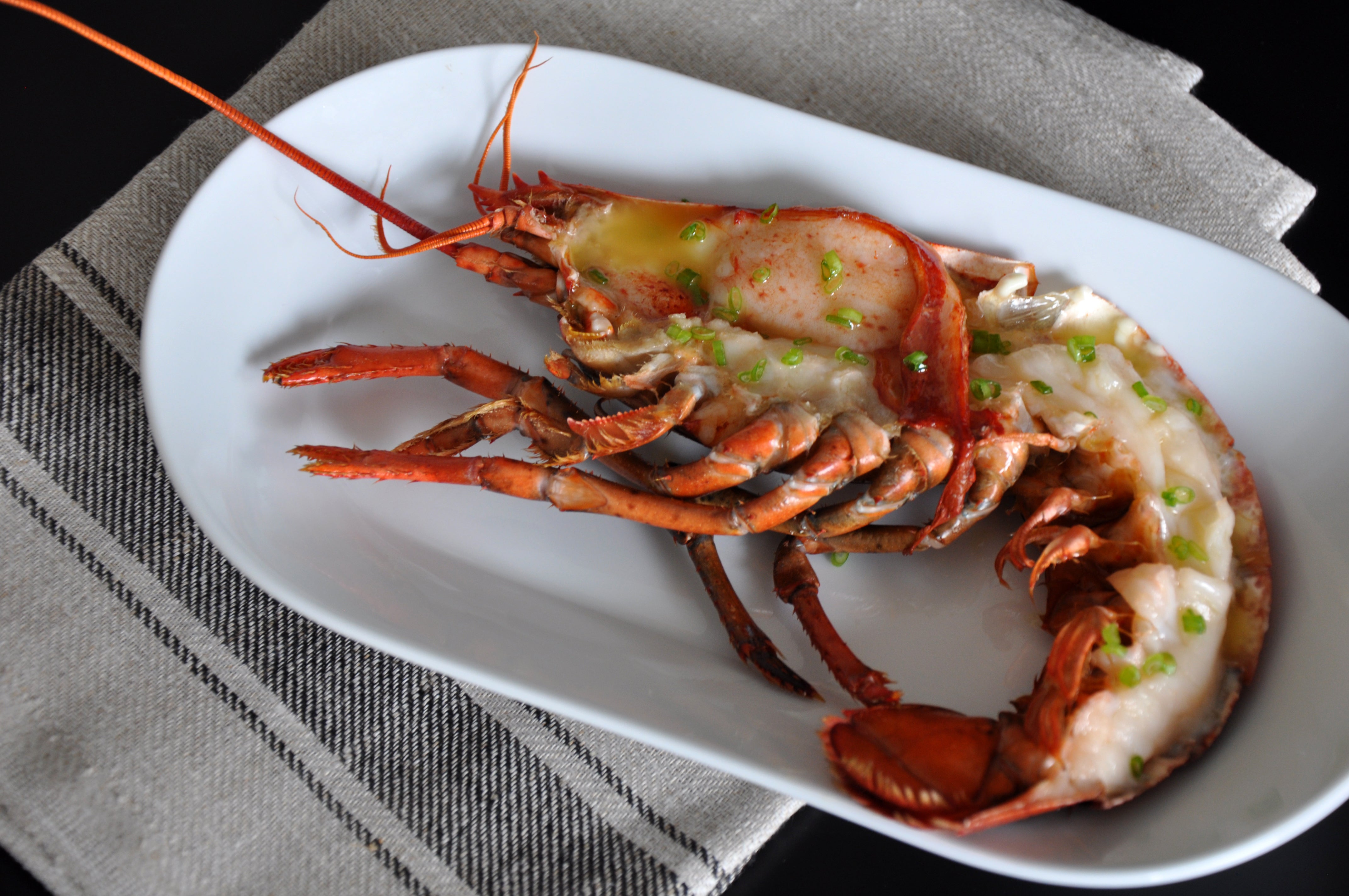 Lobster Family - Trancheuse à truffes avec manche en bois, Ajustable