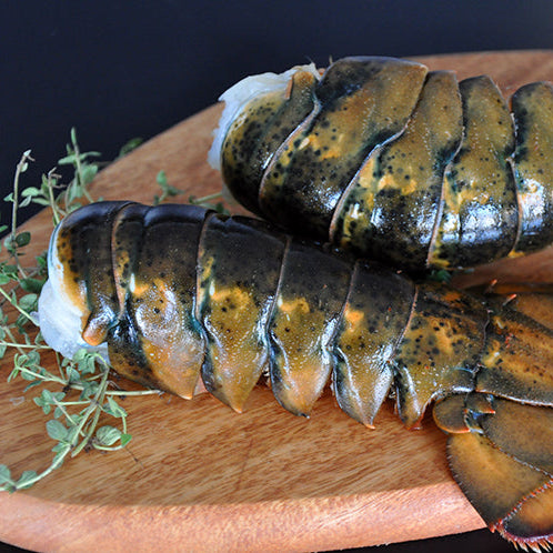 XL Twin Lobster Tails