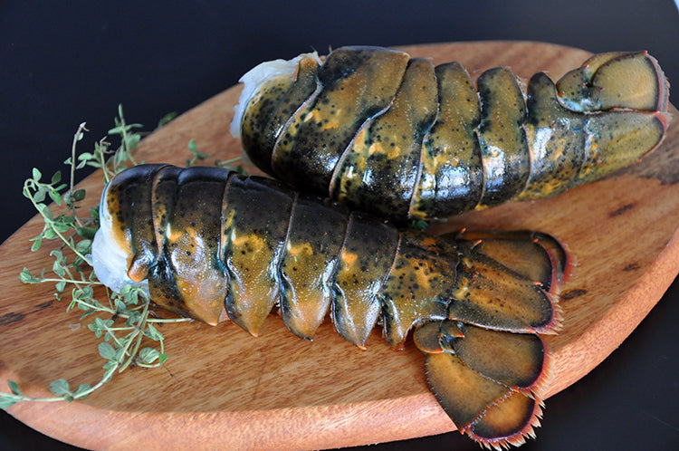 Lobster Tails - In Shell