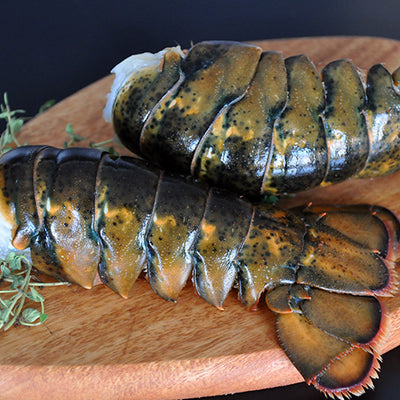 Lobster Tails - In Shell