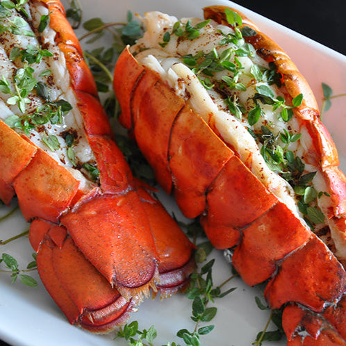 XL Twin Lobster Tails