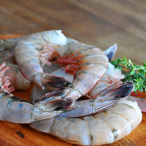 Colossal Wild Gulf Shrimp