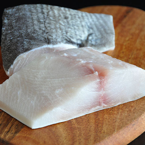 Cobia