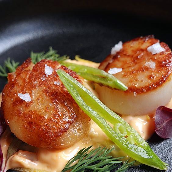 Dayboat Scallops