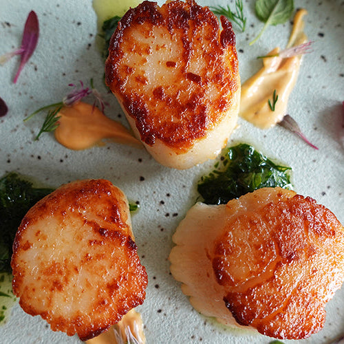 Dayboat Scallops