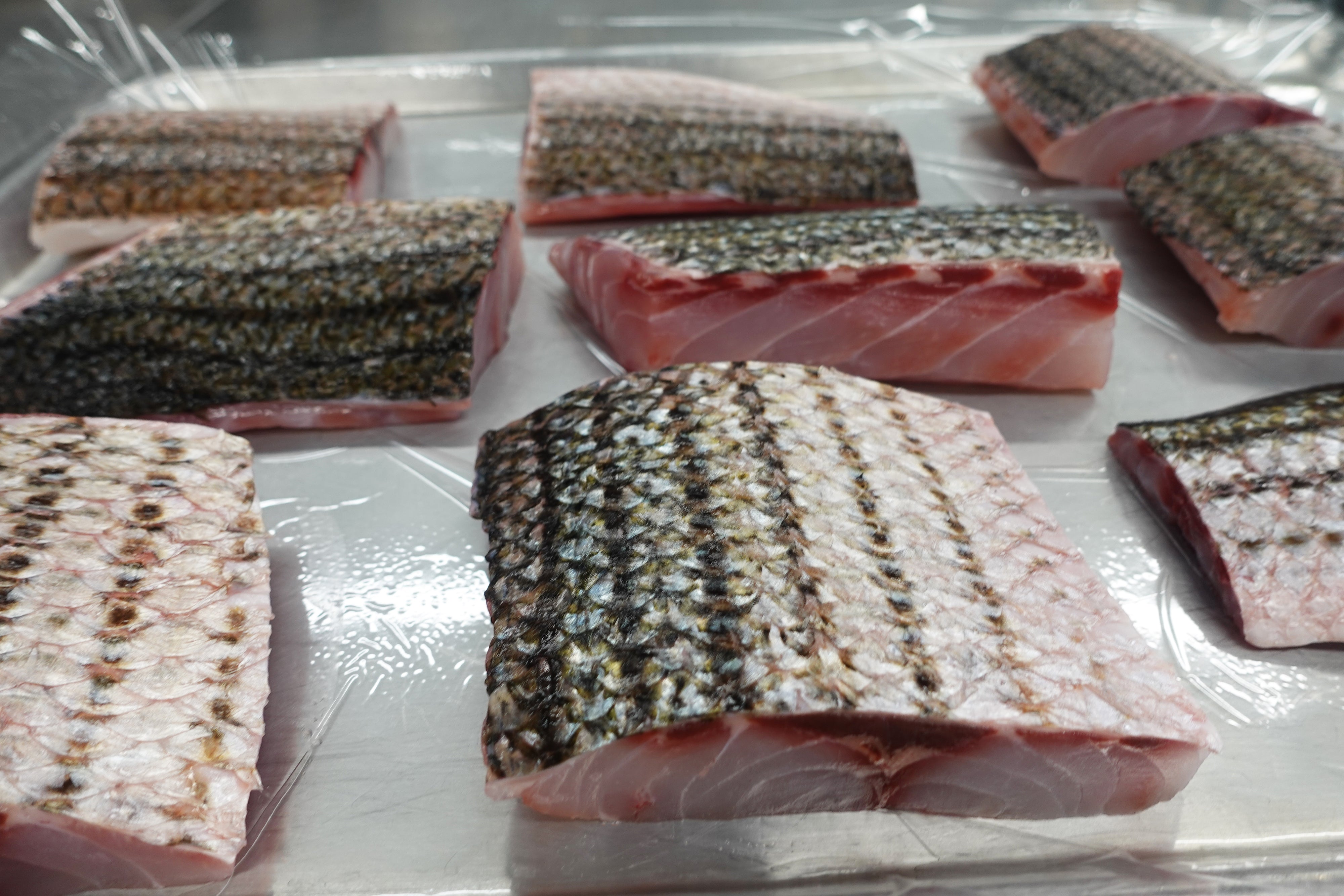 Wulf's Fish