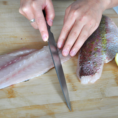 Yellowtail Snapper