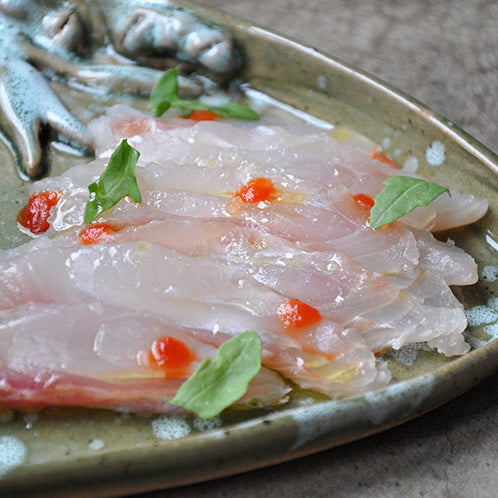 Yellowtail Snapper