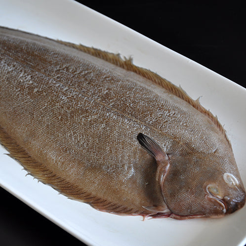 Dover Sole