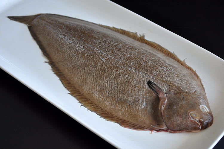 Dover Sole