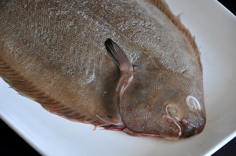 Dover Sole