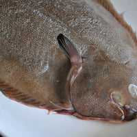 Dover Sole