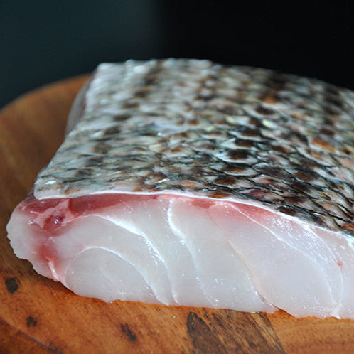 Wild Striped Bass