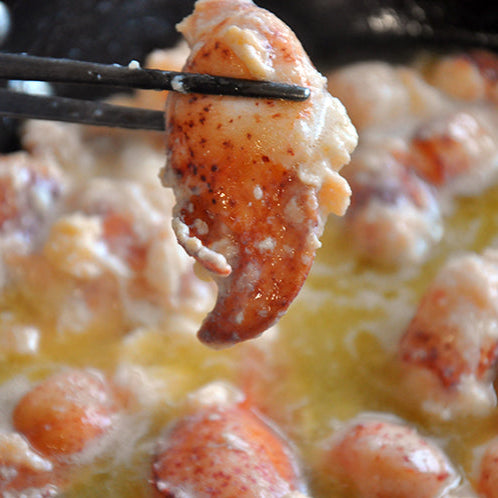 Maine Lobster – Claw & Knuckle Meat