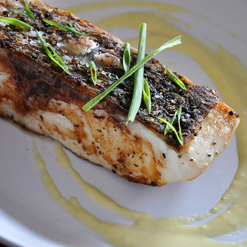 Wild Striped Bass